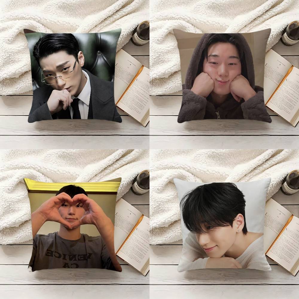 C-Choi S-San Pillow Cover Sofa - Home.Textiles Cushion 评论和价格