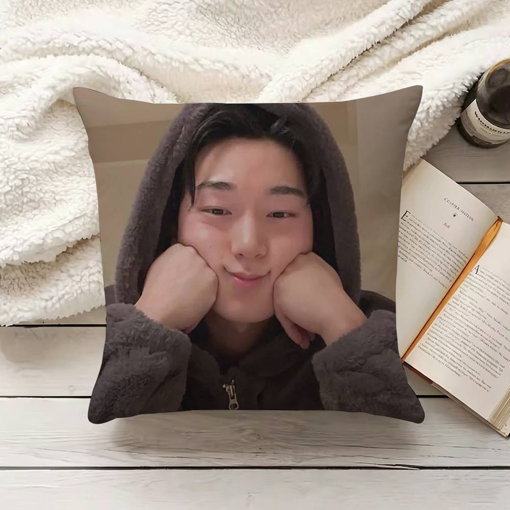 C-Choi S-San Pillow Cover Sofa - Home.Textiles Cushion 评论和价格